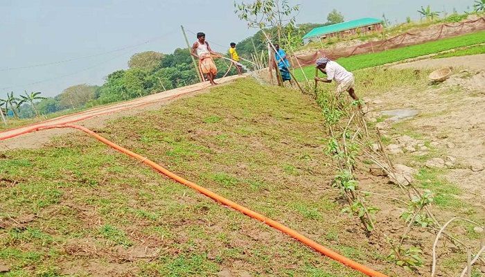 কিশোরগঞ্জে হাওরে কৃষকের ফসল রক্ষায় বাঁধ নির্মিত
