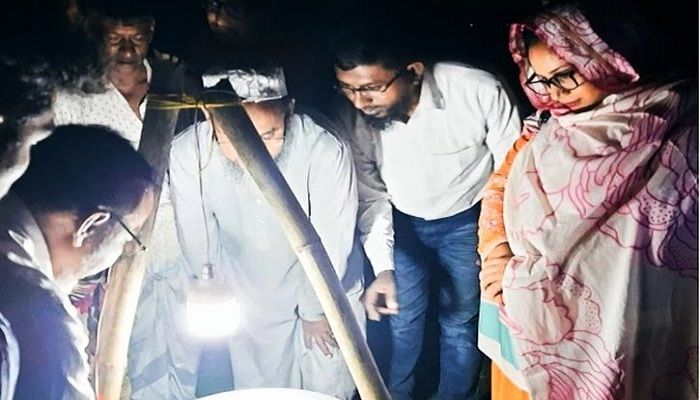 উল্লাপাড়ায় বোরো ধানে পোকা দমনে আলোক ফাঁদ