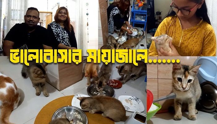 প্রাণীদের প্রেমে এক দম্পতি