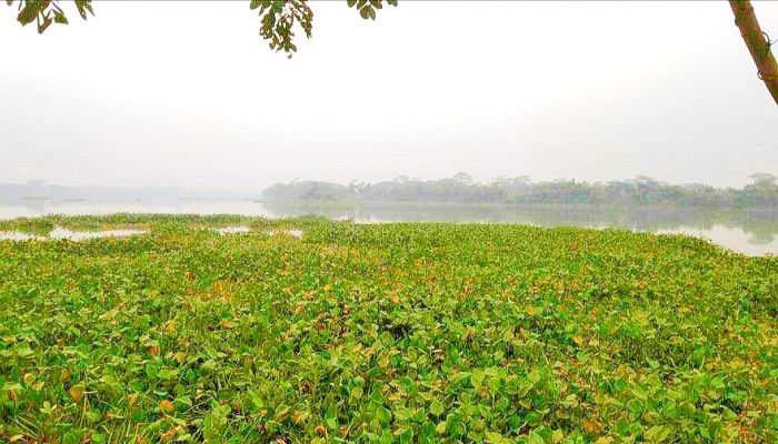 পর্যটন সম্ভাবনার হাতছানি দিচ্ছে ঝালকাঠির মরগাঙ্গী