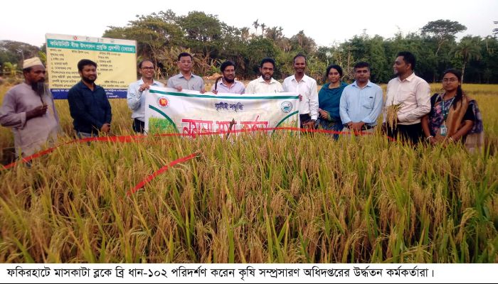 বাণিজ্যিকভাবে ব্রি ১০২ ধানের যাত্রা শুরু। কৃষকের মুখে সফলতার হাসি