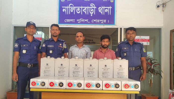 ব্যাটারী চুরি কান্ডে ছাত্রদলের সদস্য সহ গ্রেফতার ২