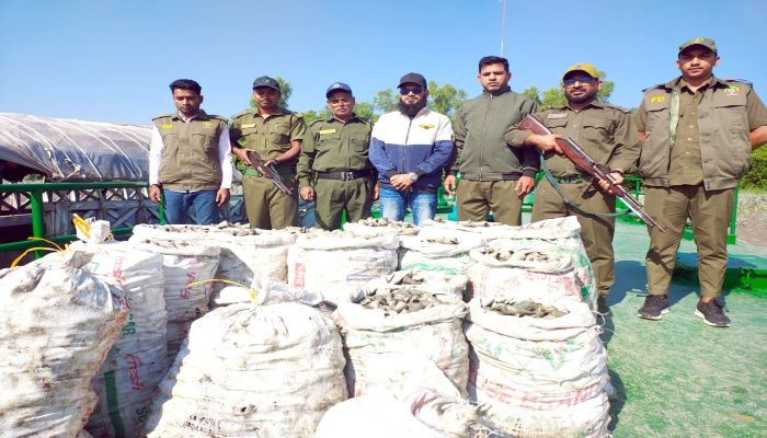 সাতক্ষীরার শ্যামনগরে বিপুল পরিমাণ ঝিনুক ও শামুক উদ্ধার