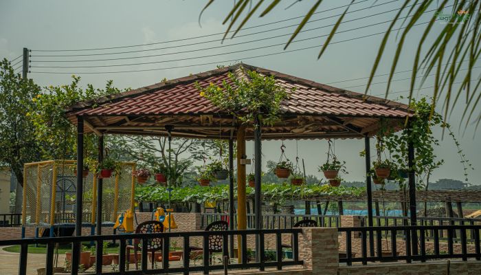 শহরের ব্যস্ততার মাঝে ঘুরে আসুন আমিন মোহাম্মদ এগ্রোতে