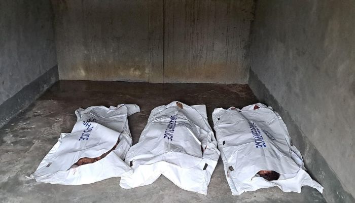 গরু চোর সন্দেহে গণপিটুনিতে নিহত ৩ 