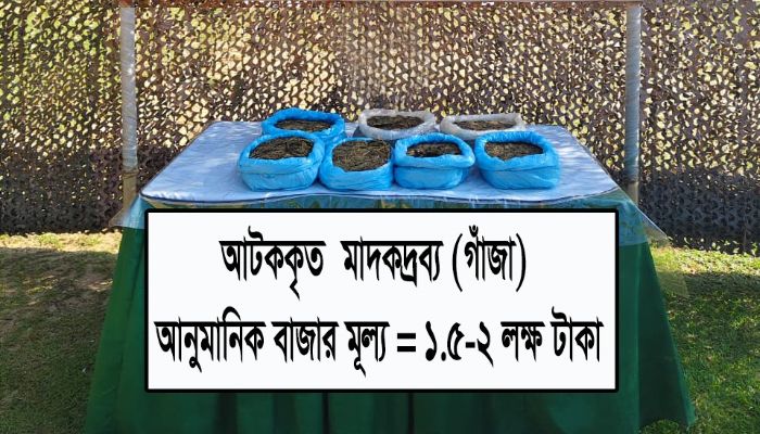 সেনা অভিযানে গাঁজা জব্দ