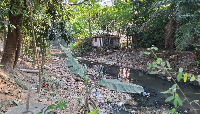 ‘কুমার ডুবি’ খাল দখল ও দূষণে বিপর্যস্ত