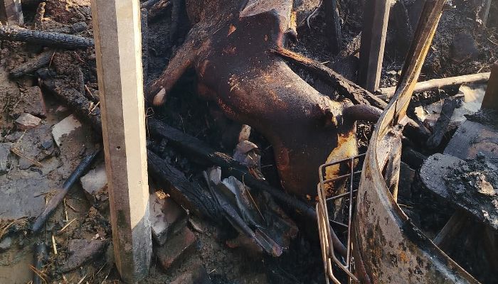 অগ্নিকাণ্ডে সিএনজি ও গবাদিপশু পুড়ে ছাই