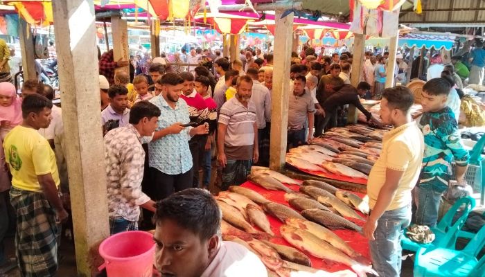 কালাইয়ে বসেছে ঐতিহ্যবাহী মাছের মেলা