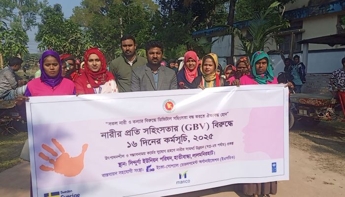 নারীর প্রতি সহিংসতার বিরুদ্ধে ১৬ দিনের কর্মসূচি