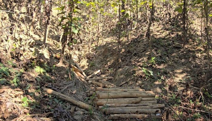 বালাঘাটায় দখলবাজির তান্ডব