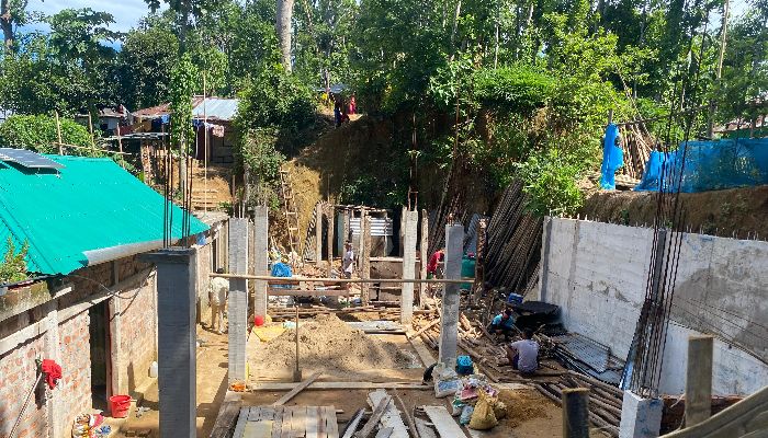 বনাঞ্চল গ্রাসে পাকা স্থাপনা: জীববৈচিত্র্যের ওপর বিরূপ প্রভাব