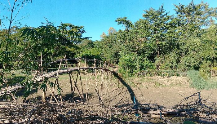 বাঁশের সাঁকোই একমাত্র ভরসা