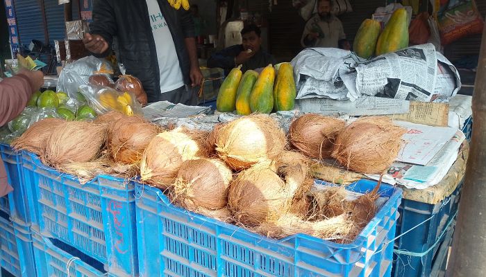 সিন্ডিকেটে বন্ধী নারিকেলের বাজার  একসপ্তাহে দাম বেড়েছে আড়াইগুণ