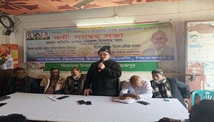 জিয়ানগরে শতাধিক নেতাকর্মীর বিএনপিতে যোগদান