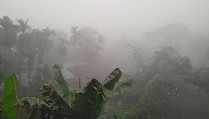 কুড়িগ্রামে   শীত ও ঠান্ডায় স্থবির, হয়ে পড়েছে জনজীবন