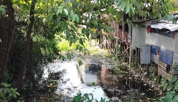 অবৈধ দখল দূষনে অস্তিত্ব হারাচ্ছে জিয়াউর রহমানের নিজ হাতে খনন করা  খাল, বিপাকে কৃষক 