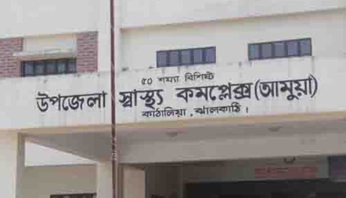 ঝালকাঠির কাঠালিয়ার আমুয়া হাসপাতালে চিকিৎসক ও জনবল সংকট, চিকিৎসা সেবা বঞ্চিত ২ লক্ষাধিক মানুষ