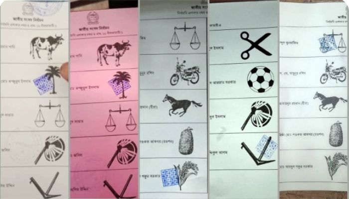 সিল মারা ব্যালটের ছবি ফেসবুকে সয়লাব