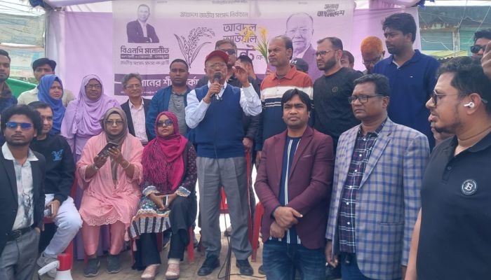 দেশকে সংকট থেকে উত্তরণের পথ দেখাতে পারে বিএনপি সরকার: মিন্টু 