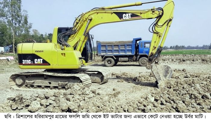 ত্রিশালে নীরবে হারাচ্ছে বিস্তীর্ণ ফসলি জমি 