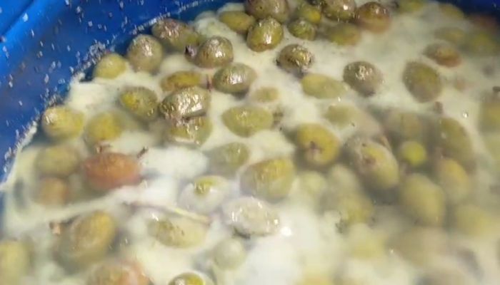 পচা টমেটো দিয়ে তৈরি করা হতো মজাদার সস, অভিযানে মিললো প্রমাণ, অতপর.....