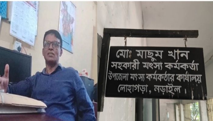  লোহাগড়ায় গরুকান্ড তিন সদস্য বিশিষ্ট তদন্ত কমিটি গঠন 