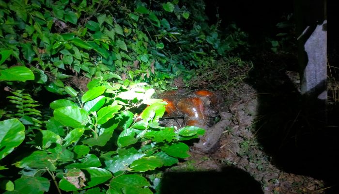 নোয়াখালীতে এক যুবককে পিটিয়ে পুড়িয়ে হত্যা 