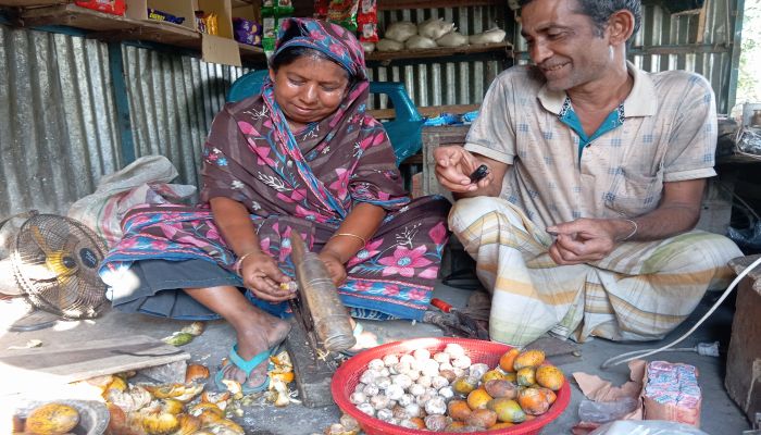 সুপারি বাকল ছিলেই জীবিকা বড়াইগ্রামের নওদো জোয়াড়ীর তিন শতাধিক পরিবারের গল্প
