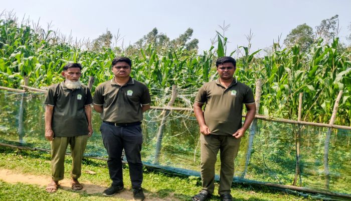 শেরপুরে বন্য হাতি ঠেকাতে অবৈধ বিদ্যুৎ ফাঁদ, বন বিভাগের অভিযানে লাইন বিচ্ছিন্ন
