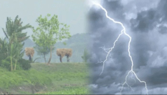 সুনামগঞ্জে বজ্রপাতে ৫ কৃষকের মৃত্যু