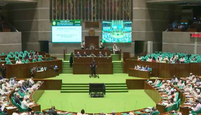 সংসদে ৭ আইন পাস, উত্থাপন ৪