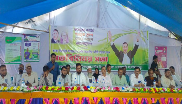 ‘হাইব্রিড’ নেতাদের ঠাঁই নয়, ত্যাগীদের মূল্যায়নের দাবিতে উত্তাল সিংগাইর বিএনপি