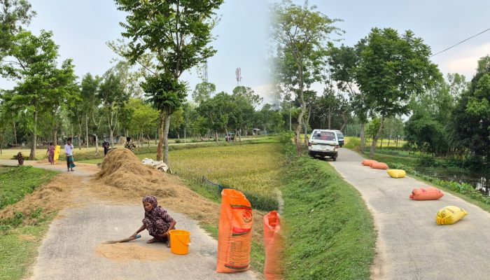 চুনারুঘাটে সড়কের উপর ধান-খড় শুকানোর মহোৎসব, দুর্ঘটনার ঝুঁকিতে চালক ও পথচারী