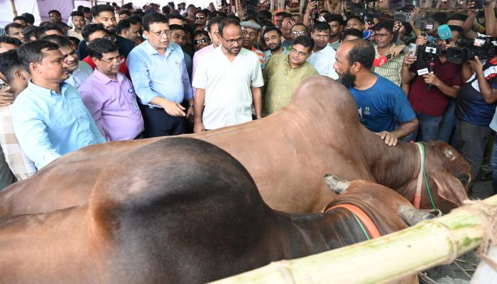 চোরাইপথের পশু নয়, বৈধ উৎসে কোরবানির পশু কেনার আহ্বান মৎস্য ও প্রাণিসম্পদ প্রতিমন্ত্রীর 
