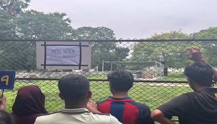 জাতীয় চিড়িয়াখানায় সাদা মহিষ দেখতে দর্শনার্থীদের উপচে পড়া ভিড়