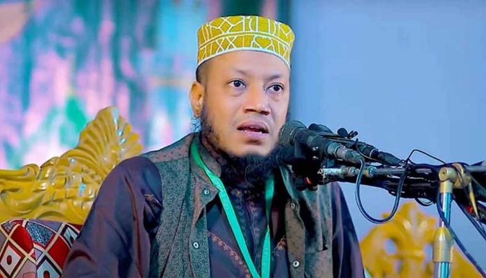 জ্বালানিমন্ত্রীকে নিয়ে মন্তব্যে অনড় অবস্থান আমির হামজার