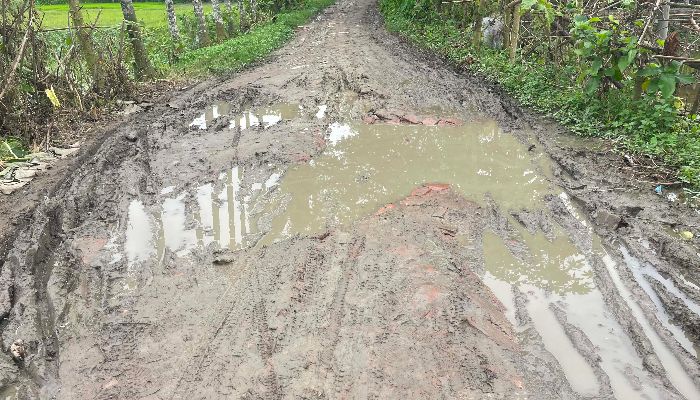 সাটুরিয়ার কমলপুর-কৈজুরী সড়কের বেহাল দশা, দুর্ভোগে হাজারো মানুষ