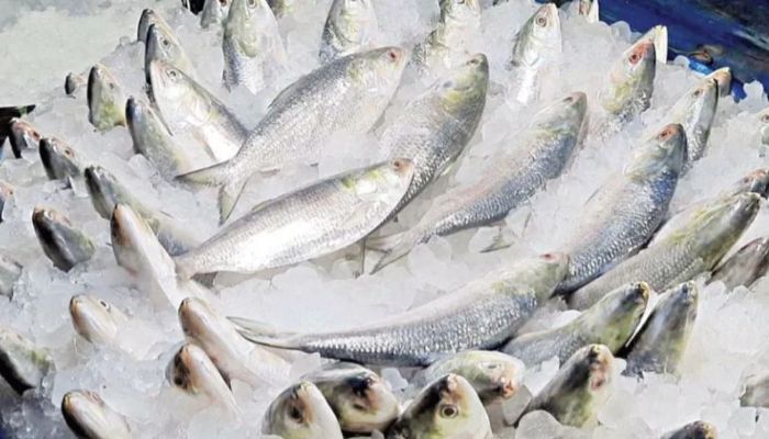 ভারতে ইলিশ রপ্তানি বন্ধে লিগ্যাল নোটিশ