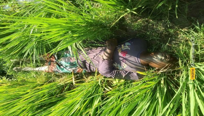 নিখোঁজের চারদিন পর কৃষকের মরদেহ উদ্ধার