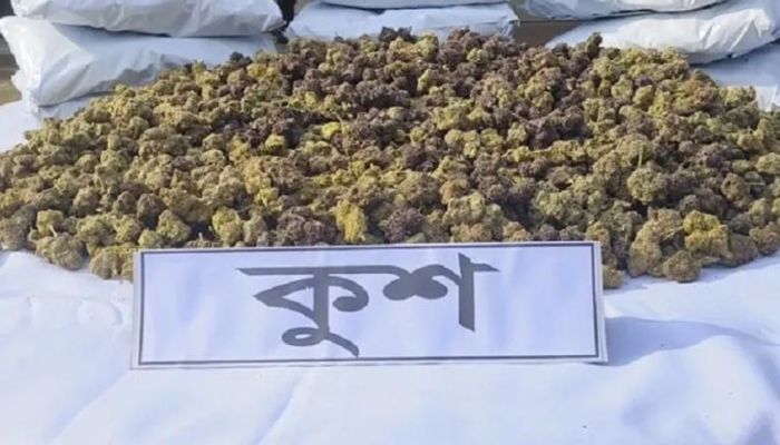 বাংলাদেশে ঢুকছে নতুন মাদক ‘কুশ’: কতটা বিপজ্জনক এই মাদক?